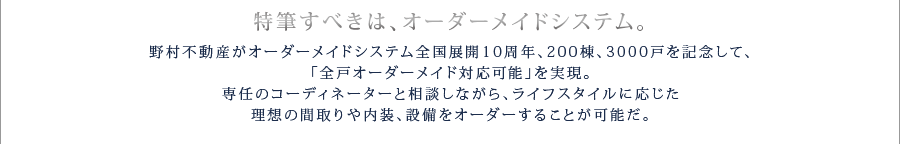 オーダーメイドシステム