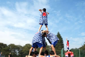 東京電機大学中学校・高等学校　10月体育祭の様子