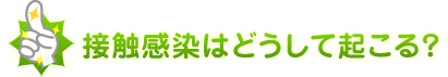 接触感染はどうして起こる？