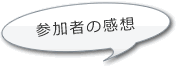 参加者の感想