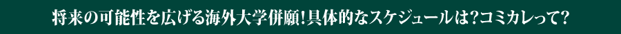 将来の可能性を広げる海外大学併願！具体的なスケジュールは？コミカレって？