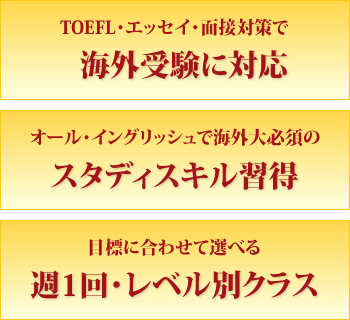 TOEFL・エッセイ・面接対策で海外受験に対応／オール･イングリッシュで海外大必須のスタディスキル習得／目標に合わせて選べる週1回・レベル別クラス 