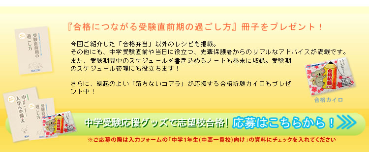 入試当日のお弁当作りのヒントが満載の