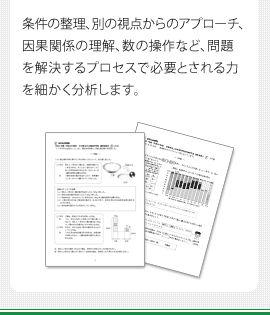 条件の整理、別の視点からのアプローチ、因果関係の理解、数の操作など、問題を解決するプロセスで必要とされる力を細かく分析します。