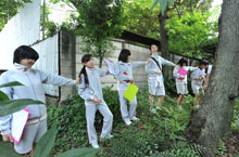 大井町自然再生観察園計測