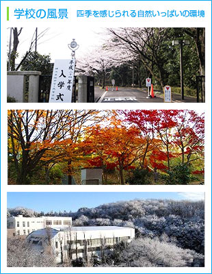 学校の風景